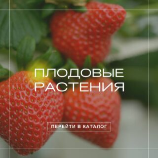 Плодовые растения