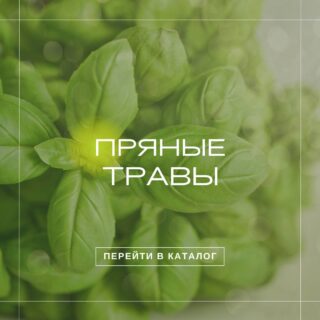 Пряноароматические травы