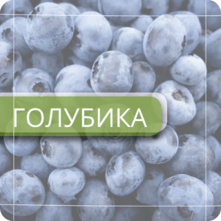 Голубика