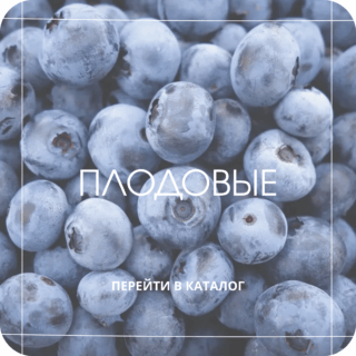 Ягодные кустарники