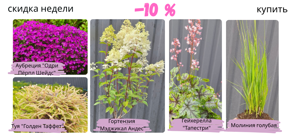 Sale (4)
