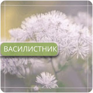 Василистник