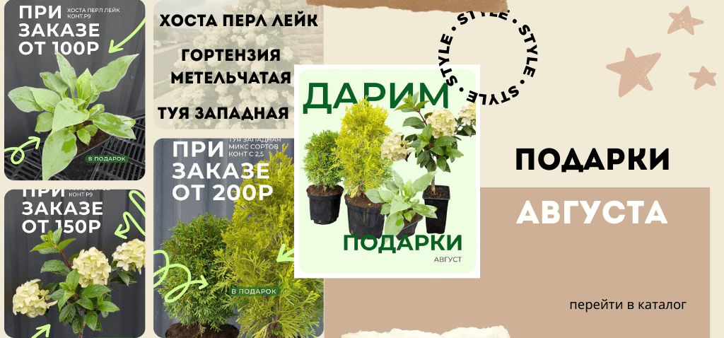 Sale (8) (1)