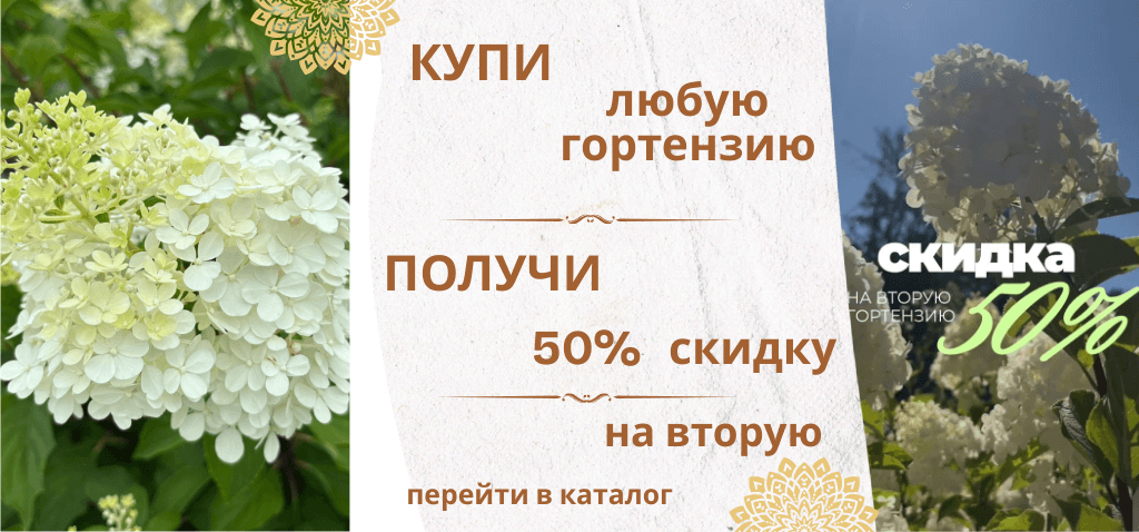 Sale (11) (1)