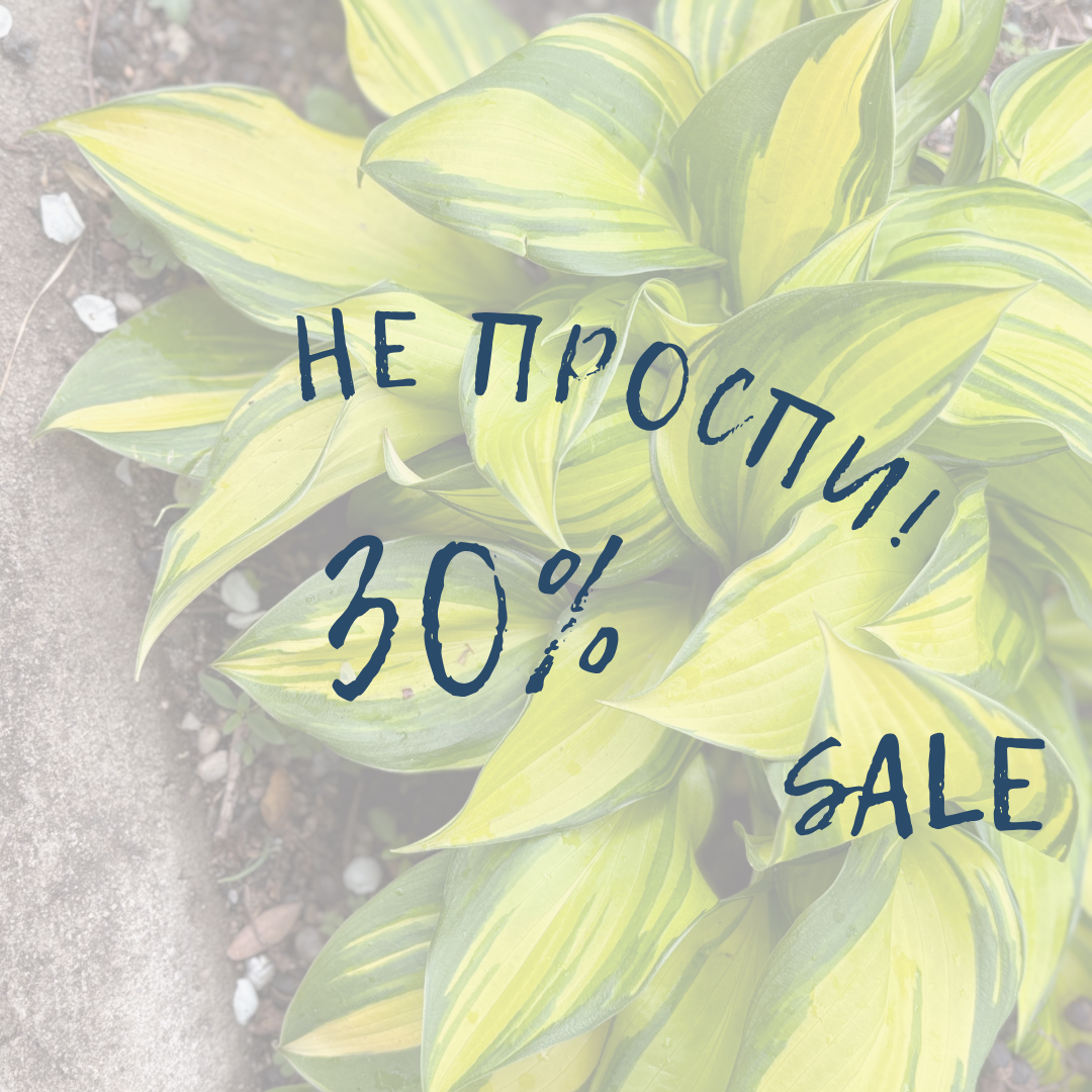 Текст абзаца - 2025-10-03T001812.349