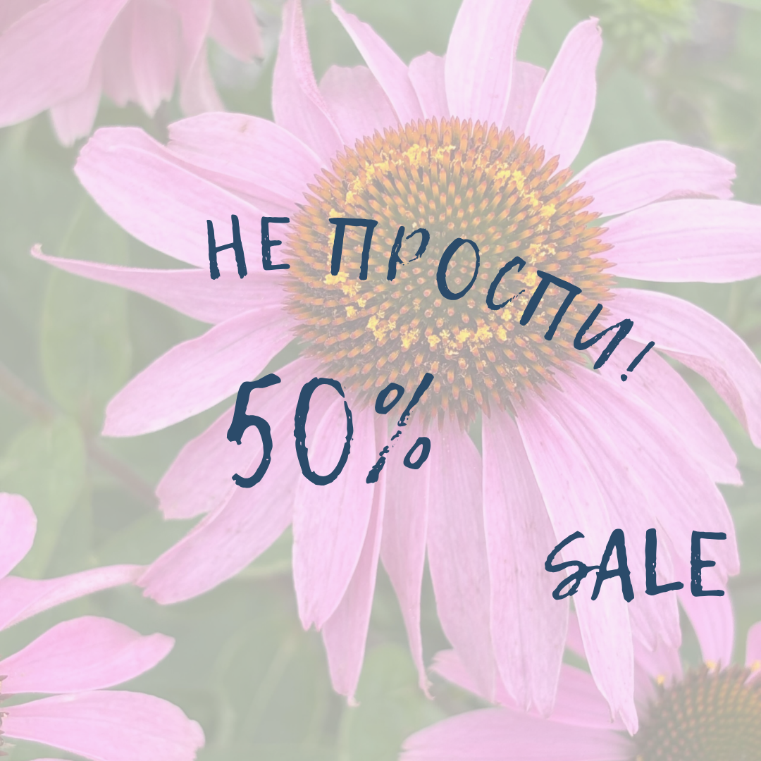 Текст абзаца - 2025-10-03T001825.843