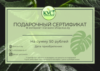 Подарочный сертификат на 50 рублей