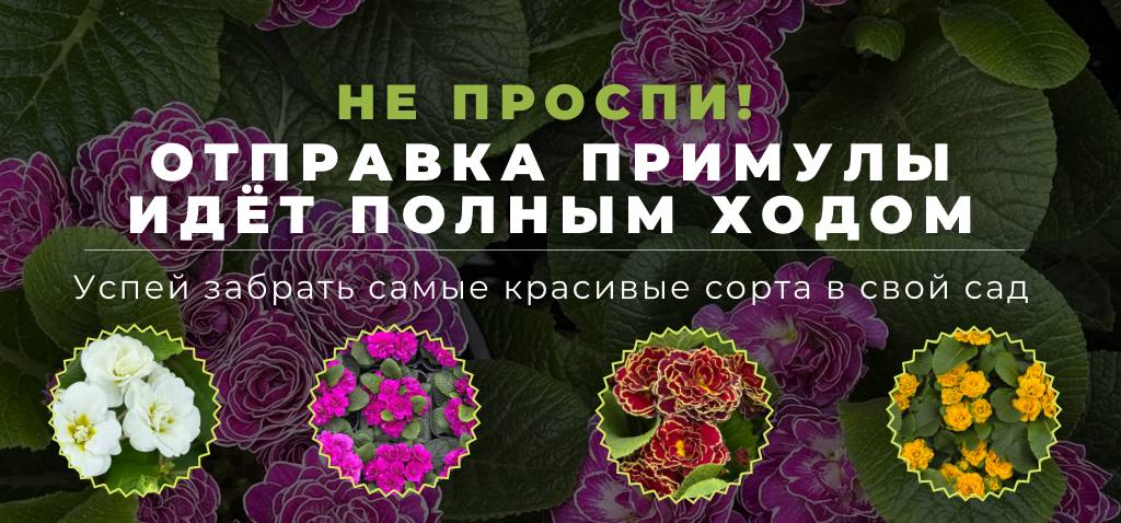 photo_2026-03-07_10-38-51