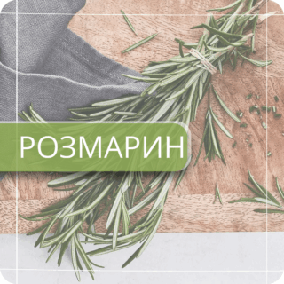 Розмарин