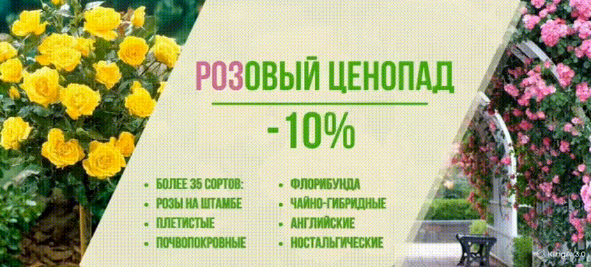 doc 2026 05 14 16 18 50