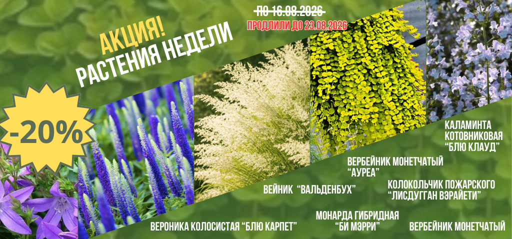 Баннеры Куст (22)