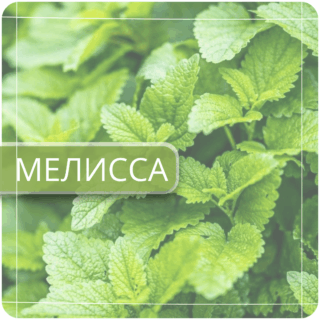 Мелисса